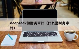 deepseek做财务审计(什么是财务审计)