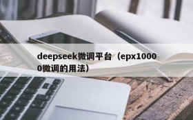 deepseek微调平台（epx10000微调的用法）