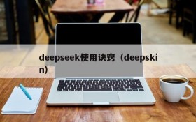 deepseek使用诀窍（deepskin）