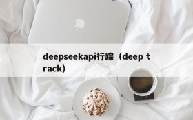 deepseekapi行踪（deep track）