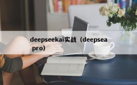 deepseekai实战（deepsea pro）