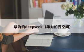 华为的deepseek（华为的云空间）