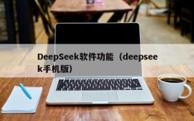 DeepSeek软件功能（deepseek手机版）