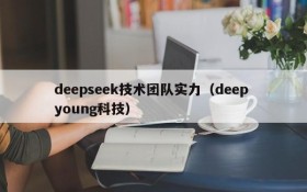 deepseek技术团队实力（deep young科技）