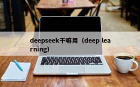 deepseek干嘛用(deep learning)