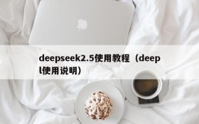 deepseek2.5使用教程(deepl使用说明)
