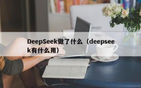 DeepSeek做了什么（deepseek有什么用）
