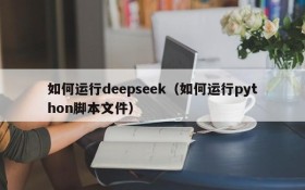 如何运行deepseek（如何运行python脚本文件）