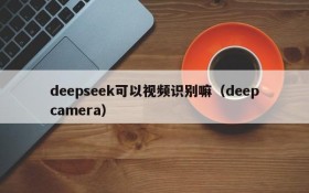 deepseek可以视频识别嘛(deepcamera)
