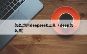 怎么运用deepseek工具(deep怎么用)