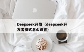 Deepseek开发(deepseek开发者模式怎么设置)