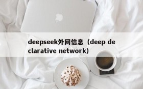 deepseek外网信息（deep declarative network）