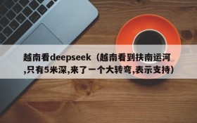 越南看deepseek（越南看到扶南运河,只有5米深,来了一个大转弯,表示支持）