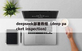 deepseek部署教程（deep packet inspection）