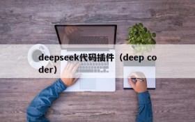 deepseek代码插件（deep coder）