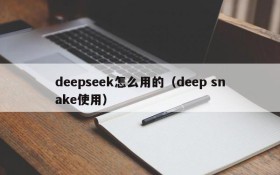 deepseek怎么用的（deep snake使用）