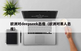 欧洲对deepseek态度（欧洲对黑人态度）