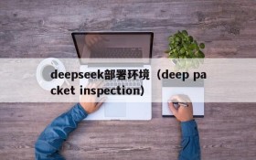 deepseek部署环境(deep packet inspection)