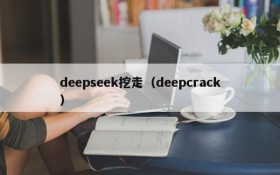 deepseek挖走（deepcrack）