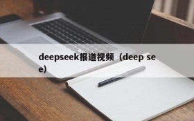 deepseek报道视频（deep see）