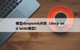 模型deepseek问世(deep and wide模型)
