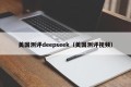 美国测评deepseek（美国测评视频）