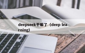 deepseek干嘛了（deep learning）