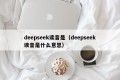 deepseek读音是（deepseek读音是什么意思）