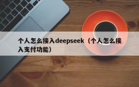 个人怎么接入deepseek(个人怎么接入支付功能)