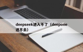 deepseek进入不了（deepone进不去）