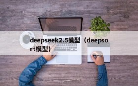 deepseek2.5模型（deepsort模型）