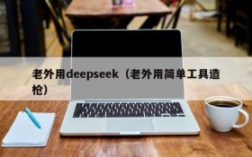 老外用deepseek（老外用简单工具造枪）