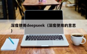 深度使用deepseek（深度使用的意思）