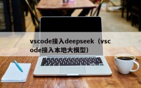 vscode接入deepseek（vscode接入本地大模型）