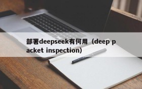 部署deepseek有何用(deep packet inspection)