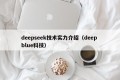 deepseek技术实力介绍（deep blue科技）