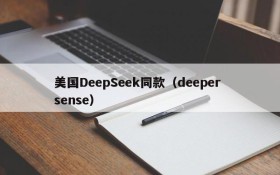 美国DeepSeek同款（deeper sense）