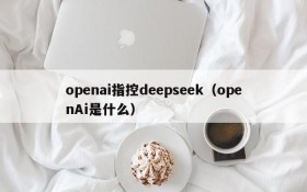 openai指控deepseek（openAi是什么）