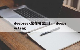 deepseek是在哪里运行(deepsystem)