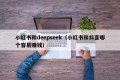 小红书和deepseek（小红书和抖音哪个容易赚钱）