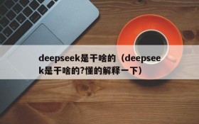 deepseek是干啥的（deepseek是干啥的?懂的解释一下）