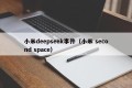 小米deepseek事件（小米 second space）