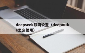 deepseek联网设置（deepnuke怎么使用）