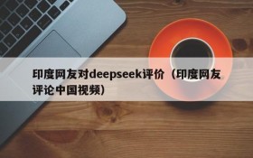 印度网友对deepseek评价(印度网友评论中国视频)