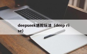 deepseek进阶玩法（deep rise）