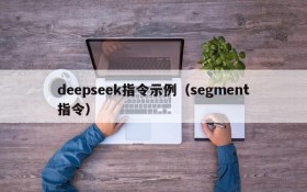 deepseek指令示例（segment指令）