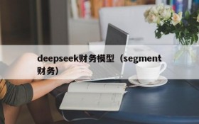 deepseek财务模型（segment财务）