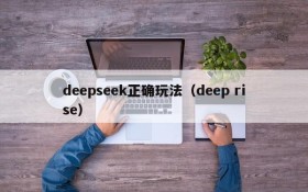 deepseek正确玩法（deep rise）