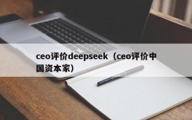 ceo评价deepseek（ceo评价中国资本家）