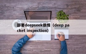 部署deepseek很慢(deep packet inspection)